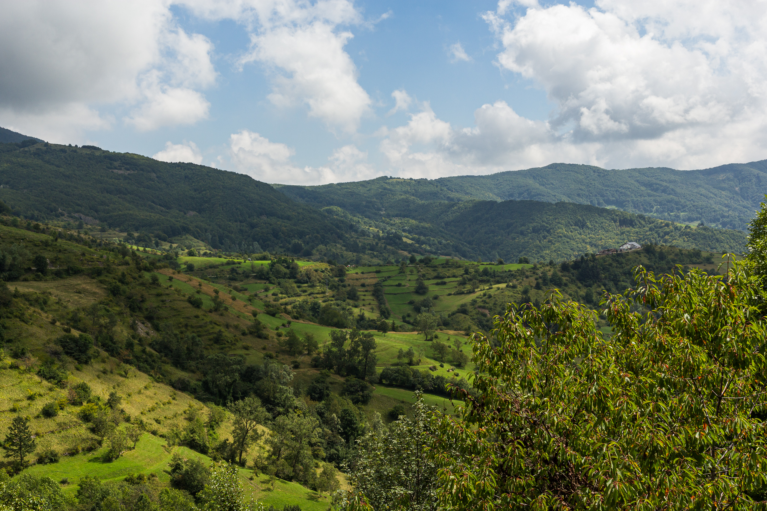 Grüne Apenninenlandschaft am Passo del Tomarlo